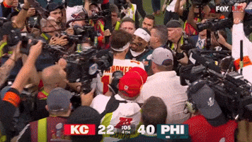 Philadelphia Eagles Birds GIF by TheDreamTeam 