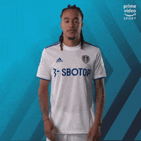 Premier League Football GIF by Prime Video