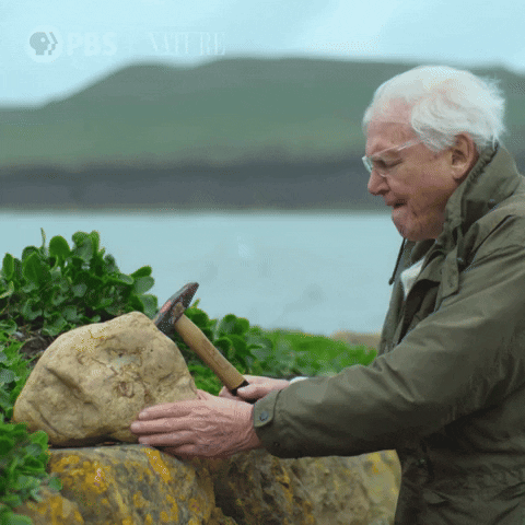 Explore Bbc GIF by Nature on PBS