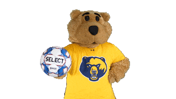 College Sports Sport Sticker by WVU Tech Golden Bears
