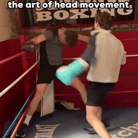Bestfypage GIF