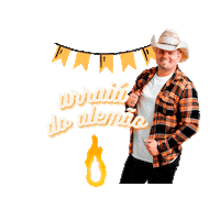 Capixaba Arraia Sticker by rededoriso