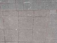 Kompetenzzentrum_FWD parität dpwv kreidezeit wirsindparität GIF