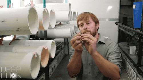GIF by KQEDScience