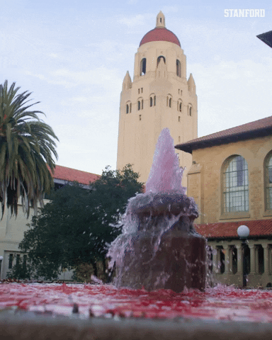 GIF by Stanford Athletics