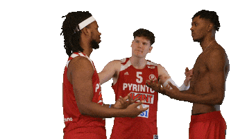 Sport Basketball Sticker by Basket_fi