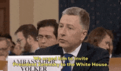 news impeachment impeachment inquiry kurt volker GIF