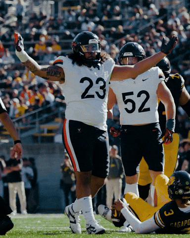 Scott Stadium Uva GIF by Virginia Athletics