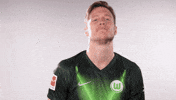 Wout Weghorst Soccer GIF by VfL Wolfsburg