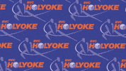 Volleyball GIF by BVC Holyoke