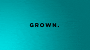 Marketing Create GIF by Brainflu
