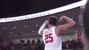 coogfans strong university of houston go coogs houston cougars GIF