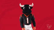 National Football League GIF by Houston Texans