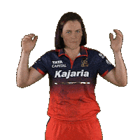 Happy Dance Sticker by Royal Challengers Bengaluru