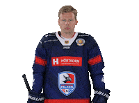 Statement Heilbronn Sticker by Heilbronner Falken