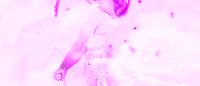 Fueled By Ramen Flower GIF by Meet Me @ The Altar