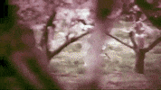 Youtube Running GIF