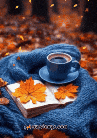 Amigos Buenos Dias GIF by Murcianys LLC