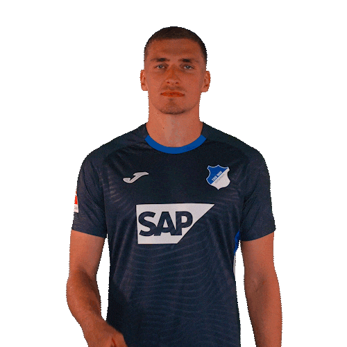 Grischa Prömel Sport Sticker by TSG Hoffenheim