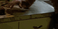 Christmas Horror Burn GIF by The Retaliators