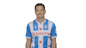 Thom Haye Coybiwab Sticker by sc Heerenveen