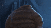Turn Around What GIF
