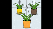 trafficdoodles animation illustration flowers traffic GIF