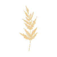 Flower Tree Sticker by Nooclify