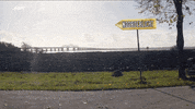 GIF by vrt