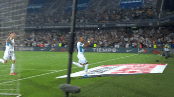 Dimitri Payet Celebration GIF by Olympique de Marseille