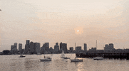 Boston GIF by GIPHY News