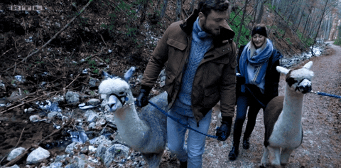 sabamboundza giphyupload GIF