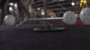 Dog Eating GIF by Atlanta United