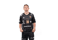 Handball Sticker by USDK