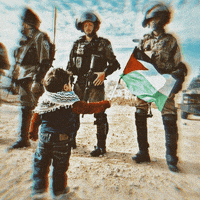 Palestine Gaza GIF