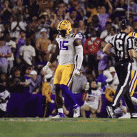 College Football GIF by LSU Tigers