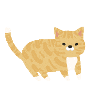 YooooYuuuu cat animal yooooyuuuu yooooyuuuucat Sticker