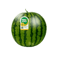 melanciapingodoce melancia pingo doce amarelinha melancia pingo doce Sticker