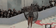 Met Gala GIF by E!
