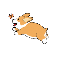 Dog Butterfly Sticker by Petique, Inc.