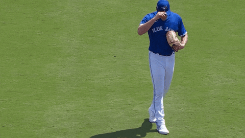 Walk Up Blue Jays GIF by Toronto Blue Jays