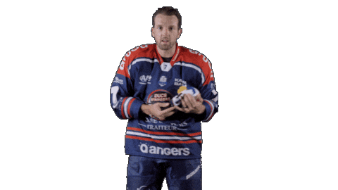 Ducs Dangers Hockey Sticker by Les Ducs d'Angers