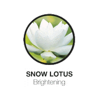 Flowers Skincare Sticker by STARSKIN®
