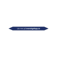 Horses Horseracing Sticker by Svensk Galopp