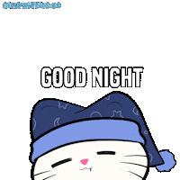 Good Night Cats Sticker by Silly Kitties