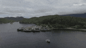 viceland GIF by ABANDONED