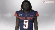 Cnfb GIF by Carson-Newman Athletics
