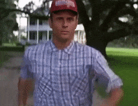 Forest Macron GIF by systaime