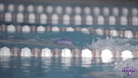 Women Swimming GIF by Columbia College