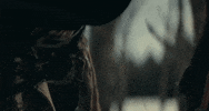 No Glory In The West GIF by Orville Peck